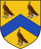 English Family Shield for Falcon