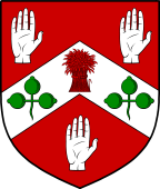 Irish Family Shield for O