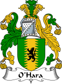 Irish Coat of Arms for O