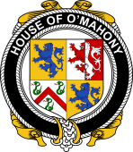 Irish Coat of Arms Badge for the O