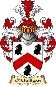 Irish Family Coat of Arms (v.23) for O