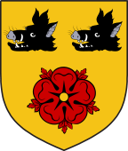 Scottish Family Shield for Cullen