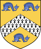 Irish Family Shield for O