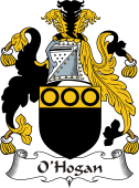 Irish Coat of Arms for O