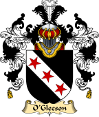 Irish Family Coat of Arms (v.25a) O