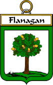 Irish Badge for Flanagan or O