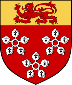 Irish Family Shield for Hamilton (Down)