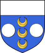 Irish Family Shield for O