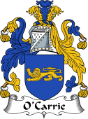 Irish Coat of Arms for O