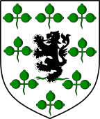 Irish Family Shield for O