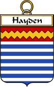 Irish Badge for Hayden or O