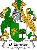 Irish Coat of Arms for O