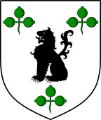 Irish Family Shield for O