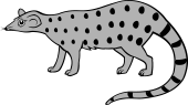 Genet