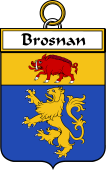 Irish Badge for Brosnan or O