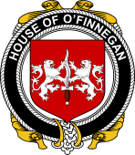 Irish Coat of Arms Badge for the O