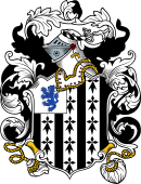 English or Welsh Coat of Arms for Newberry (Berkshire)