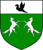 Irish Family Shield for O