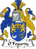 Irish Coat of Arms for O