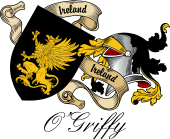 Sept (Clan) Coat of Arms from Ireland for O