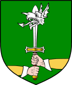 Irish Family Shield for O