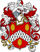 English or Welsh Coat of Arms for Penner (Ref Burke