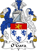 Irish Coat of Arms for O