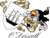 Sept (Clan) Coat of Arms from Ireland for O