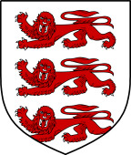 Irish Family Shield for O