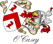 Sept (Clan) Coat of Arms from Ireland for O