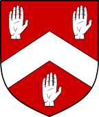 Irish Family Shield for O