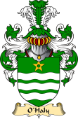 Irish Family Coat of Arms (v.23) for O