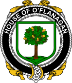 Irish Coat of Arms Badge for the O