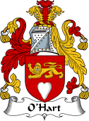 Irish Coat of Arms for O