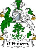 Irish Coat of Arms for O