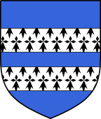 Irish Family Shield for O