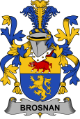 Irish Coat of Arms for Brosnan or O