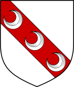 Irish Family Shield for O