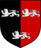 English Family Shield for Steer (e)