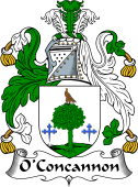 Irish Coat of Arms for O