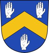 Swiss Coat of Arms for Bauyn (d