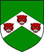 Irish Family Shield for O