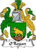 Irish Coat of Arms for O