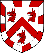 Irish Family Shield for O