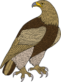 Royal Eagle or Golden