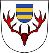 Swiss Coat of Arms for Eiskirchen dit Rayner