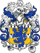 English or Welsh Coat of Arms for Bagnall