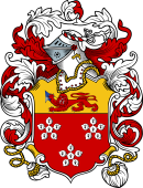 English or Welsh Coat of Arms for Rowan ( Ref Berry)