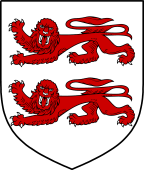 Irish Family Shield for MacClancy or MacGlanchy