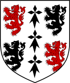 Irish Family Shield for O'Donegan or Donagan